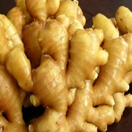 Ginger-11503544