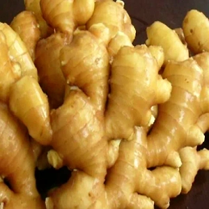 Ginger