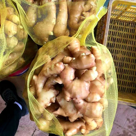 Ginger-2