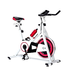 BS-140 Home Use Group Bike
