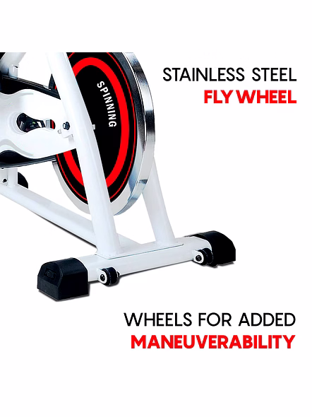 BS-155 Home Use Group Bike-2