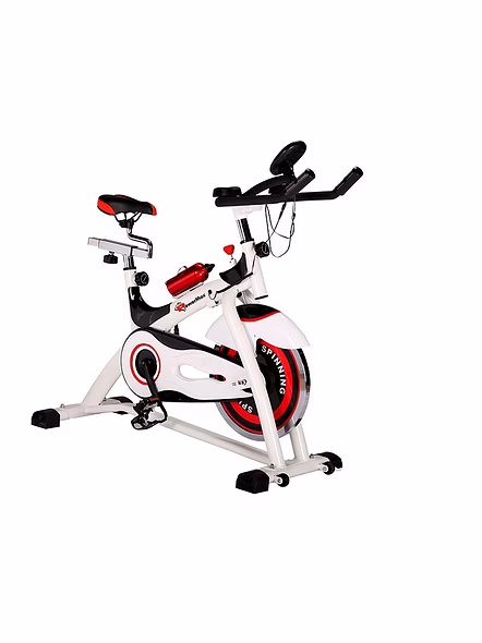 BS-155 Home Use Group Bike-4