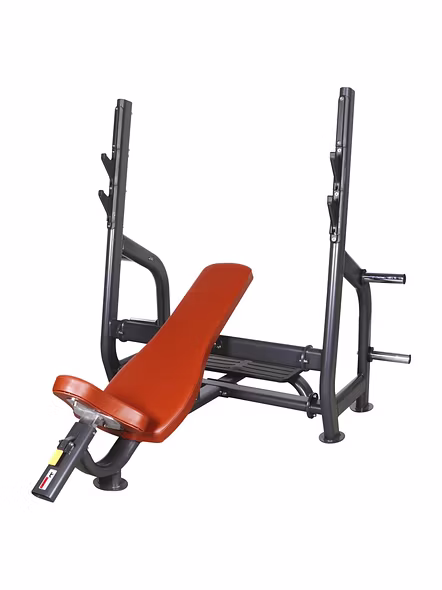 AF 9916 INCLINE PRESS BENCH 