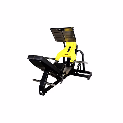 aerofit af 2909 45 degree angle leg press