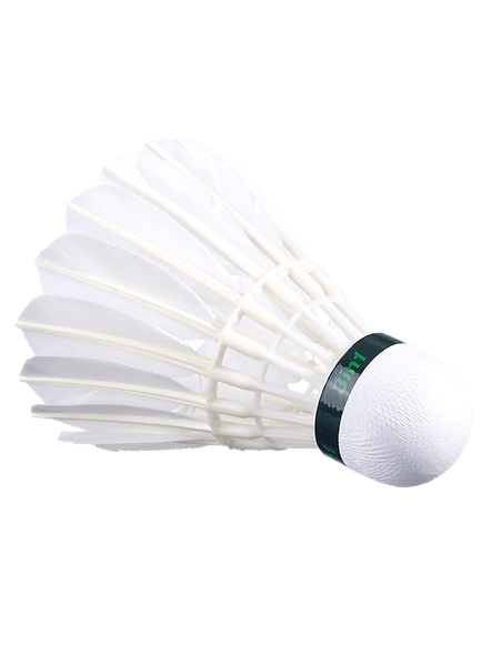 Babolat Hybrid Shuttle Cocrk-5-Hybrid-White-2