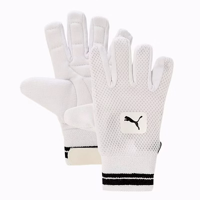 puma future 3 wicket keeping (cotton palm)mens-17+