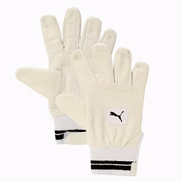 puma future 1 wicket keeping(full leather) mens 17+