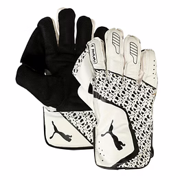 puma future 3 wicket keeping gloves-mens 17+