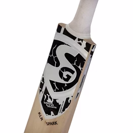 sg klr spark kashmir willow cricket bat