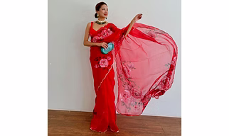 Pure Organza Fabric