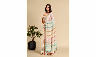 Chinnon with Embroidery saree for girls and women