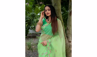 Beautiful Organza Saree with Beautiful Resam Embroidery Work FOR WOMEN