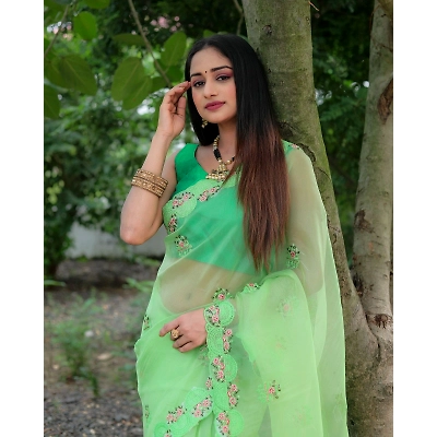 Shree Nakoda Mills Beautiful Organza Saree with Beautiful Resam Embroidery Work FOR WOMEN