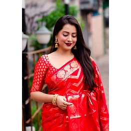Shree Nakoda Mills Red Soft silk Banarsi saree with zari Indian best Pattu saree from manufacturer on wholesale rate