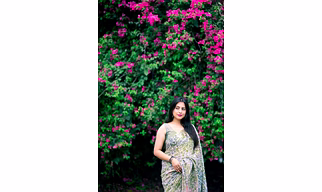 Pure Soft Chanderi Cotton Indian Pattu Saree - Wholesale Rate for Summer Collection