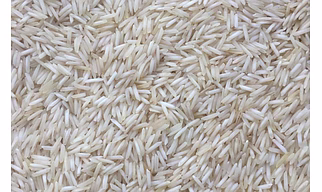 Basmati Rice 1509