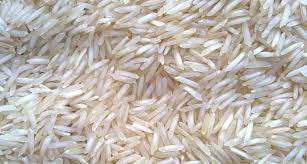 Basmati Rice 1718-TANVI004