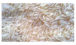 Basmati Rice 1718