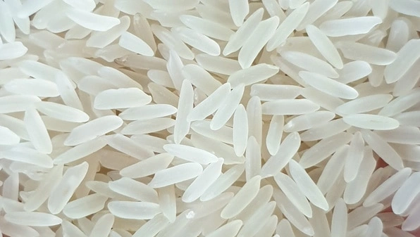 Non Basmati Rice PR11-TANVI007