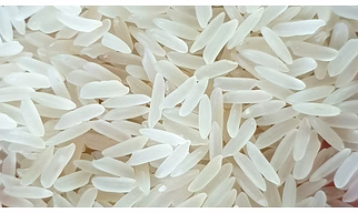 Non Basmati Rice PR11