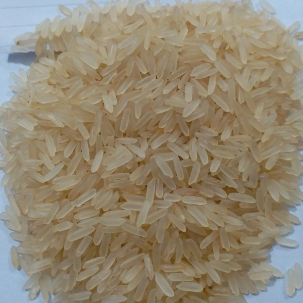 Non Basmati Rice Miniket-TANVI012