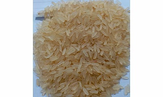 Non Basmati Rice Miniket