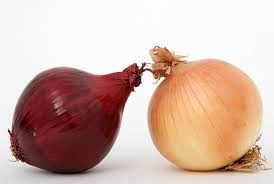 Onion-2