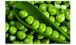 Pea