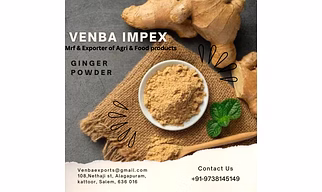 Dehydrated Ginger powder