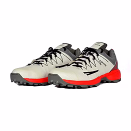 sega power rubber cricket shoes for men