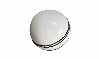 Khanana's Balance Cricket Leather Ball  (Pack of 1, White)