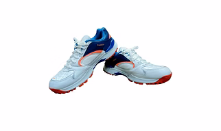 Sega New Predator Rubber Spikes Cricket Shoes for Men