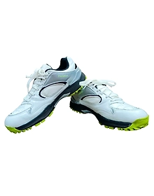Sega New Predator Rubber Spikes Cricket Shoes for Men