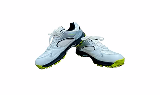 Sega New Predator Rubber Spikes Cricket Shoes for Men