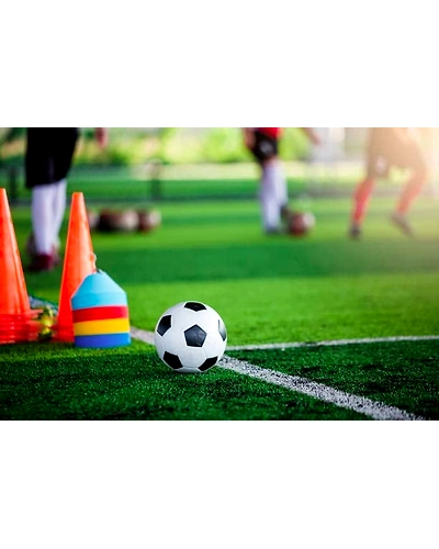 Aashray 6 Inch Football Training Agility Cone Marker | Safety Traffic Marker | Soccer Cones, Saucer Cone, Baseball Practice Agility Markers Cones | 6 Inch Pack of 6 | Multicolor |-5