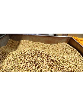 coriander seeds