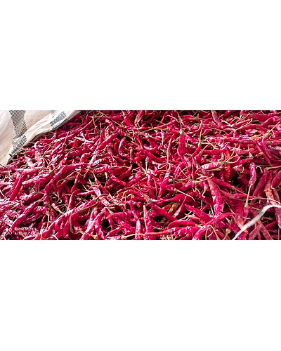 dry red chili-1