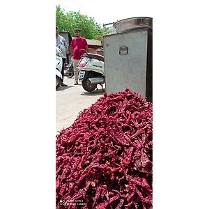 dry red chili