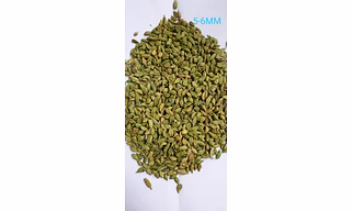 Green Cardamom