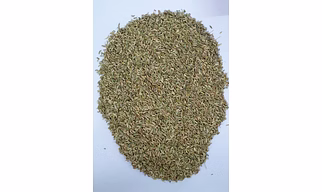 Fennel Seeds