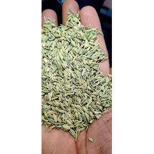 Fennel Seeds