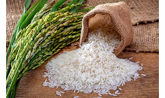Non Basmati Rice