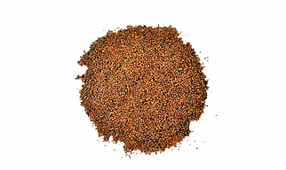 Taramira (Eruca Sativa)