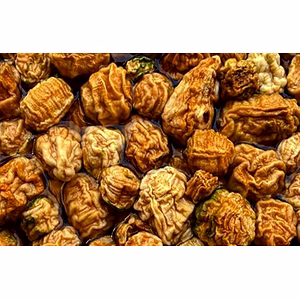 Gol Kachari (Zedoari)