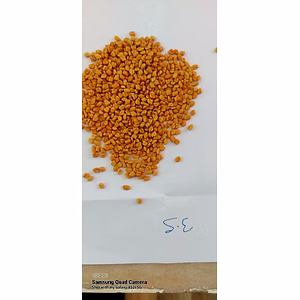 Fenugreek Seeds