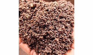 ORGANIC BIO FERTILIZER