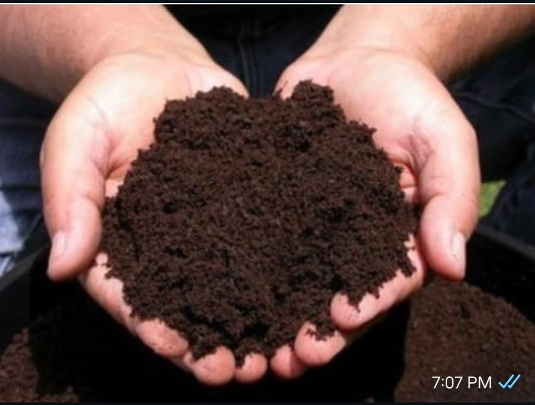 vermicompost fertilizer-11579982