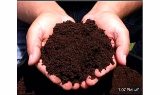 vermicompost fertilizer