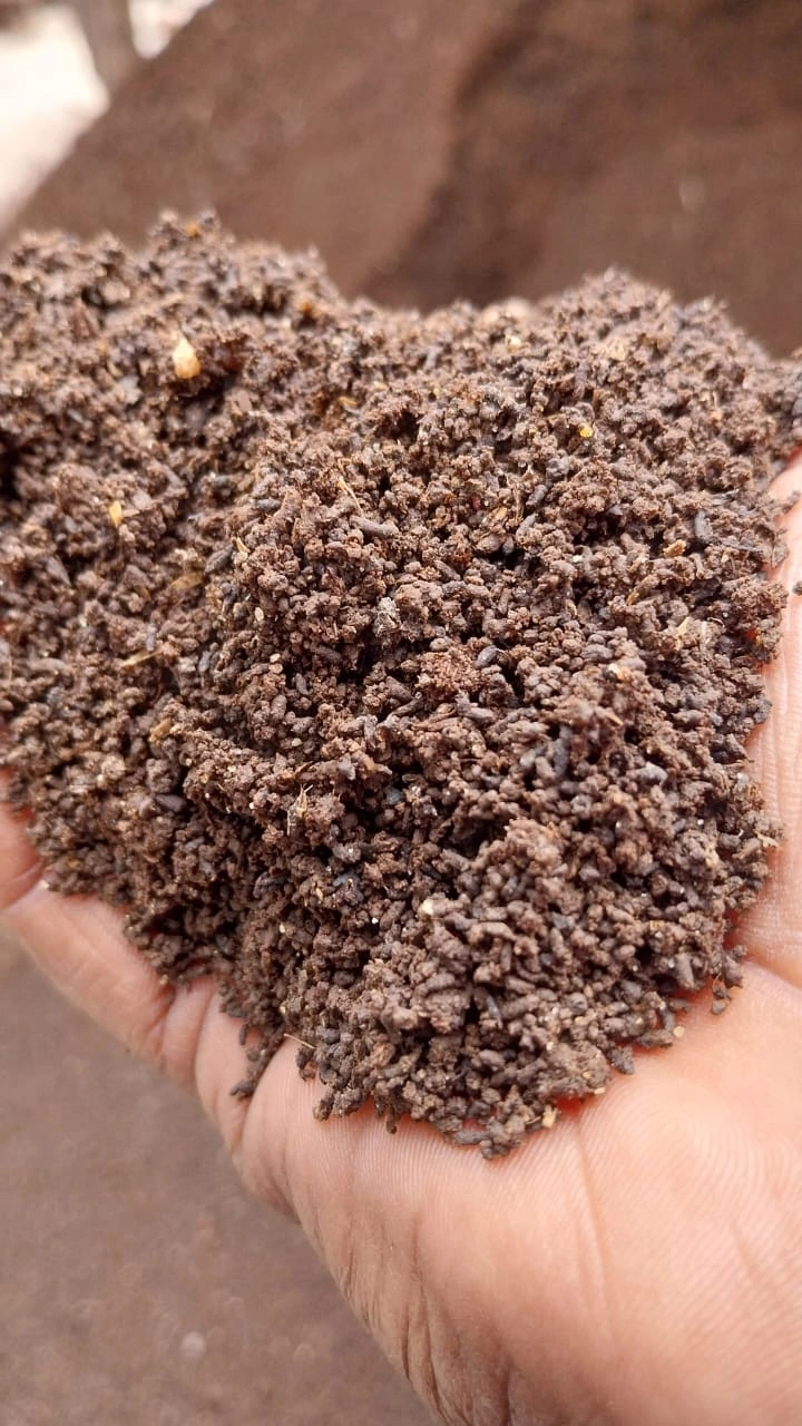 vermicompost fertilizer-1