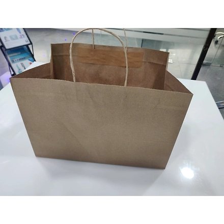 Paper Bag with Handle-3